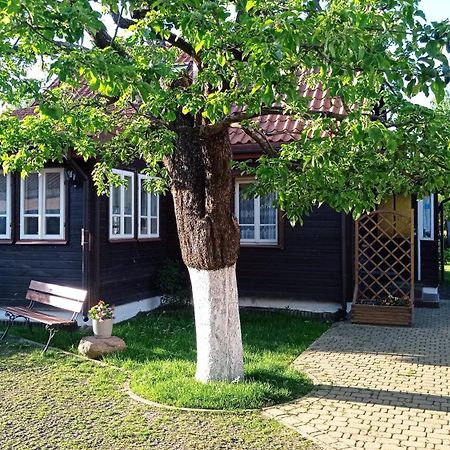 Białowieża Domek Zapiecek מראה חיצוני תמונה