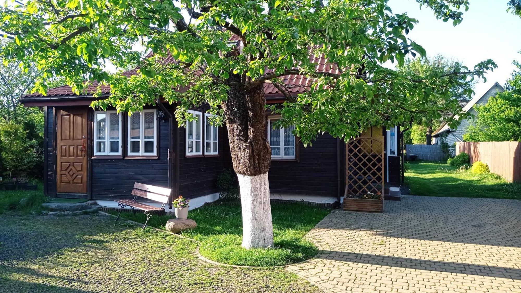 Białowieża Domek Zapiecek מראה חיצוני תמונה