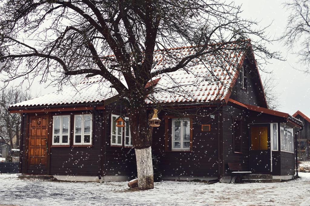 Białowieża Domek Zapiecek מראה חיצוני תמונה