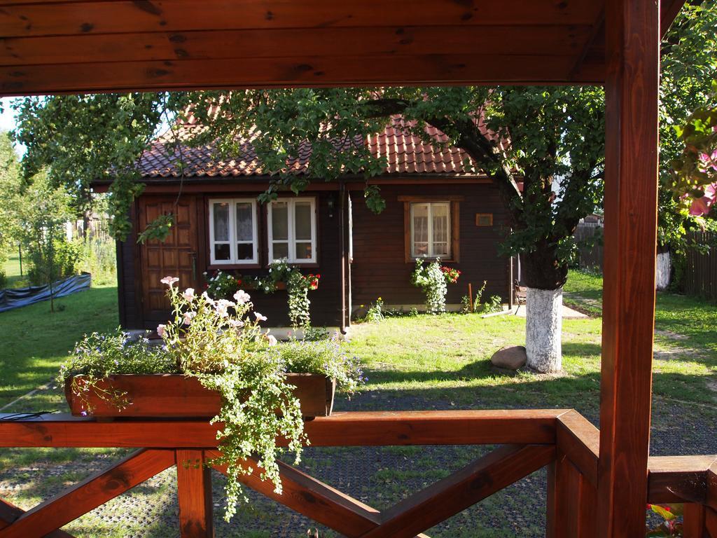 Białowieża Domek Zapiecek מראה חיצוני תמונה
