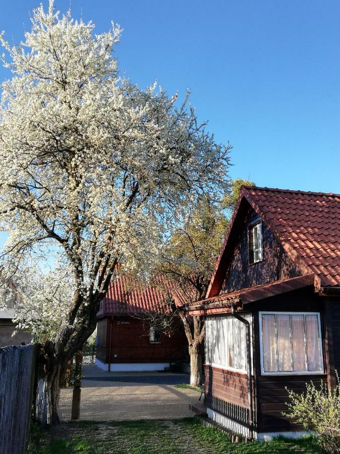 Białowieża Domek Zapiecek מראה חיצוני תמונה